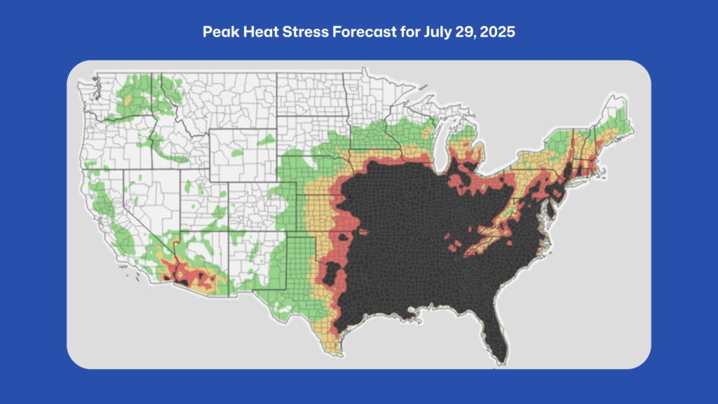 Late July 2025 Heat Wave - Klimo Insights